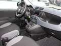 Fiat Panda 2021 1.0 firefly hybrid s Grigio - thumbnail 8