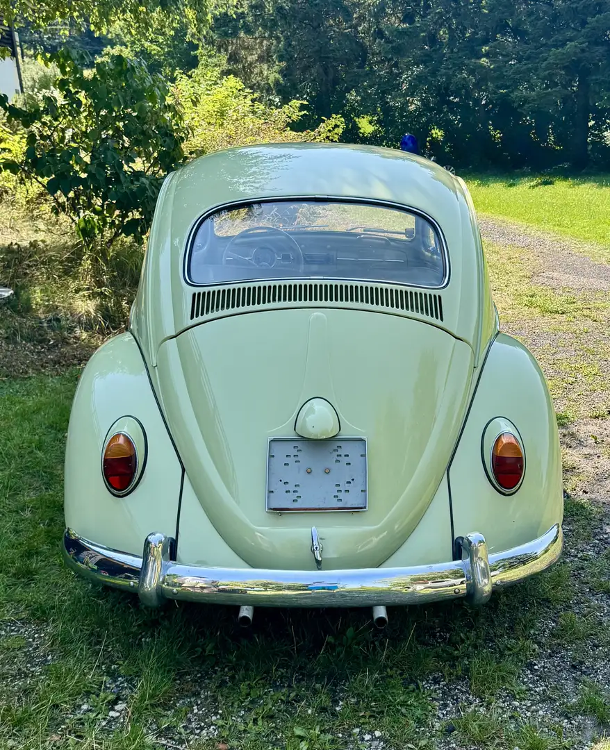 Volkswagen Käfer 1200 - 2