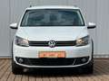 Volkswagen Touran CrossTouran 2.0 TDI DSG 1. HAND AHK KLIMA SZH Blanc - thumbnail 10