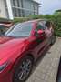 Mazda CX-5 SKYACTIV-G 194 Aut. AWD /AT/REVOLUTION TOP Rot - thumbnail 2