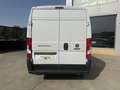 Fiat Ducato L2 H2 Blanco - thumbnail 7