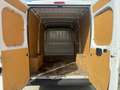 Fiat Ducato L2 H2 Blanco - thumbnail 9