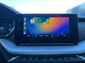 Skoda Octavia Combi 1.5 TSI First Edition 150 PK NW MODEL I TREK Noir - thumbnail 37