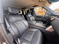 Land Rover Range Rover 3.0 D350 SWB First Edition Gris - thumbnail 12