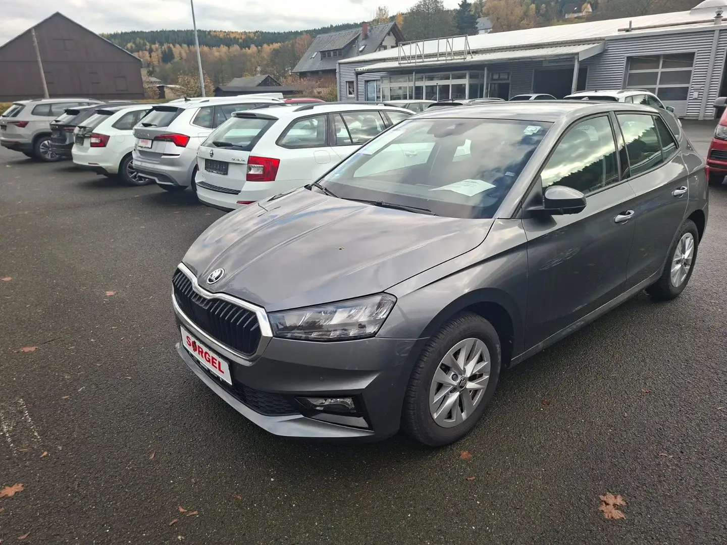 Skoda Fabia Selection Grau - 1