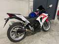 Honda CBR 250 R lichte wendbare bike in topstaat - thumbnail 3