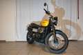 Triumph Scrambler 900 Amarillo - thumbnail 6