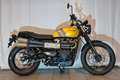 Triumph Scrambler 900 Amarillo - thumbnail 2