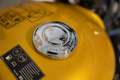 Triumph Scrambler 900 Amarillo - thumbnail 8