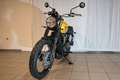Triumph Scrambler 900 Amarillo - thumbnail 5