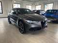 Alfa Romeo Stelvio Stelvio 2.2 t Veloce Q4 210cv VALORE GARANTITO Grijs - thumbnail 2