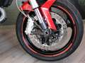 Ducati Monster 696 Plus - 2010 - km 12206 Rosso - thumbnail 13