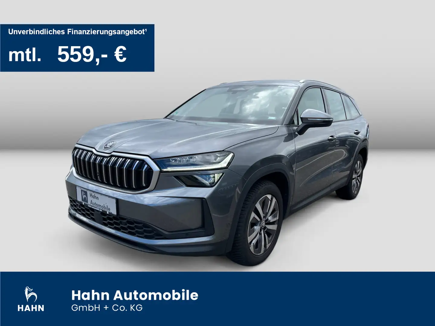 Skoda Kodiaq 2.0TDI DSG 4x4 Selection Matrix AHK 360° Gris - 1
