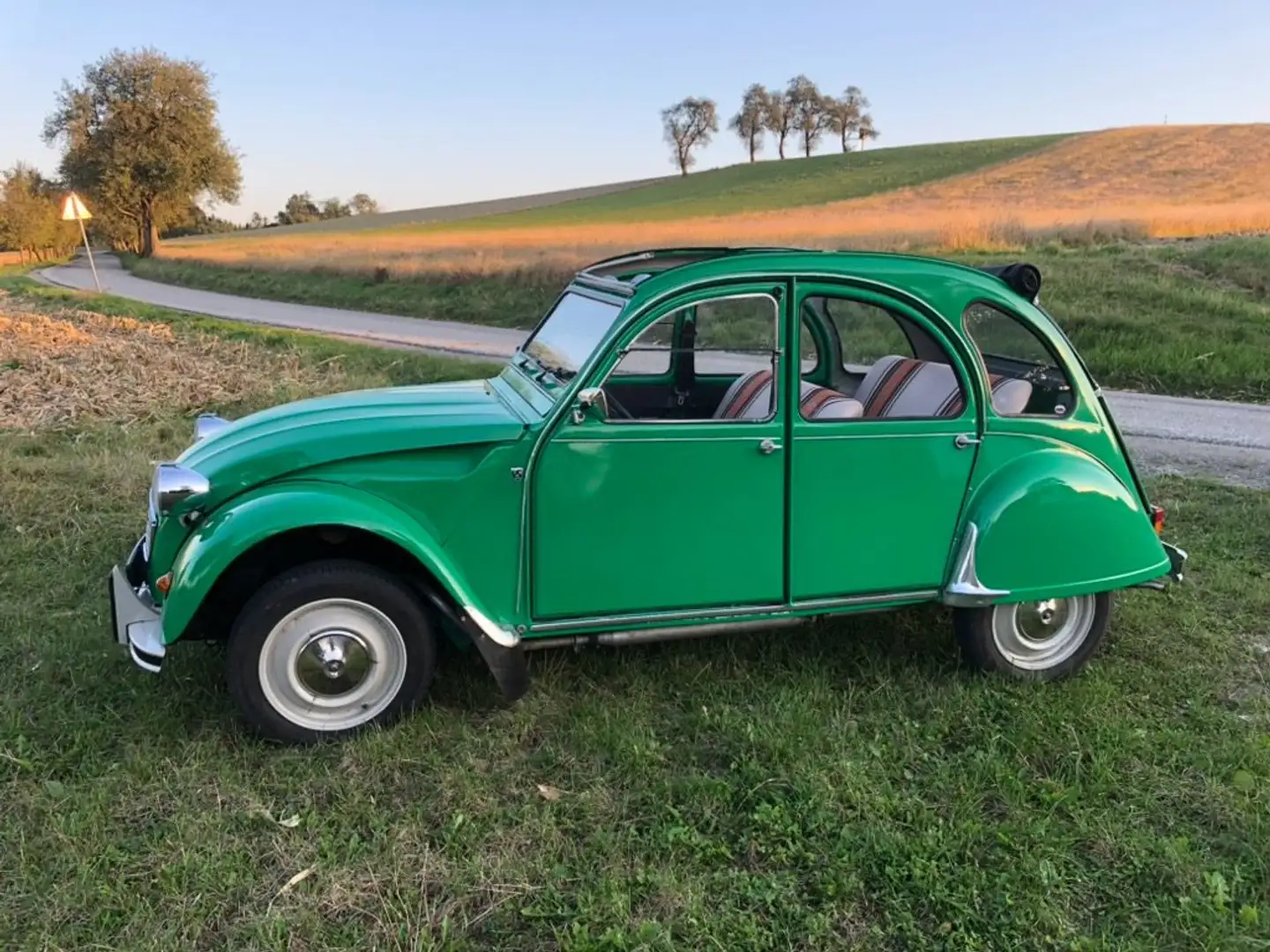 Citroen 2CV Special Verde - 1