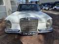 Mercedes-Benz 280 200-280 w108 250se 1967 250 belastingvrij lpg auto Blanc - thumbnail 3
