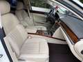 Volkswagen Phaeton V6 TDI 5-Sitzer 4Motion Massage 8-Fach Blanc - thumbnail 16