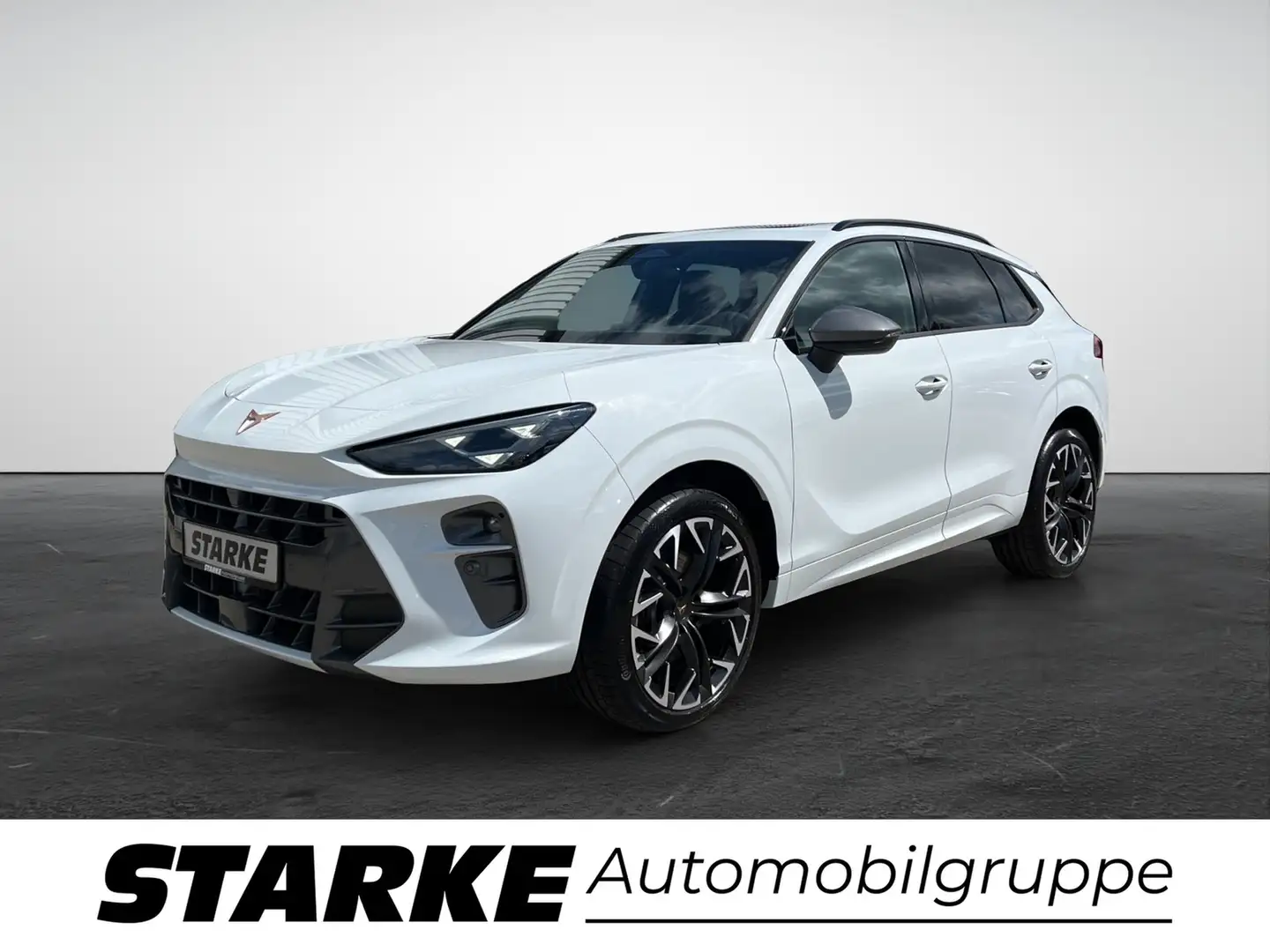 CUPRA Terramar VZ 2.0 TSI DSG 4Drive Blanc - 2