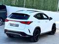 Lexus NX 300h 450h+ F Sport 4WD Blanco - thumbnail 14