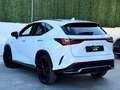 Lexus NX 300h 450h+ F Sport 4WD Blanco - thumbnail 13
