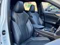 Lexus NX 300h 450h+ F Sport 4WD Blanco - thumbnail 10