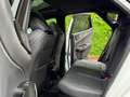 Lexus NX 300h 450h+ F Sport 4WD Blanco - thumbnail 23