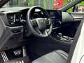 Lexus NX 300h 450h+ F Sport 4WD Blanco - thumbnail 21