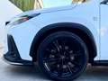 Lexus NX 300h 450h+ F Sport 4WD Blanco - thumbnail 47