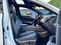 Lexus NX 300h 450h+ F Sport 4WD Blanco - thumbnail 8