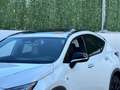Lexus NX 300h 450h+ F Sport 4WD Blanco - thumbnail 18