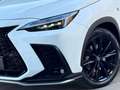Lexus NX 300h 450h+ F Sport 4WD Blanco - thumbnail 17