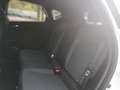Renault Captur Techno TCe 90PS Weiß - thumbnail 10