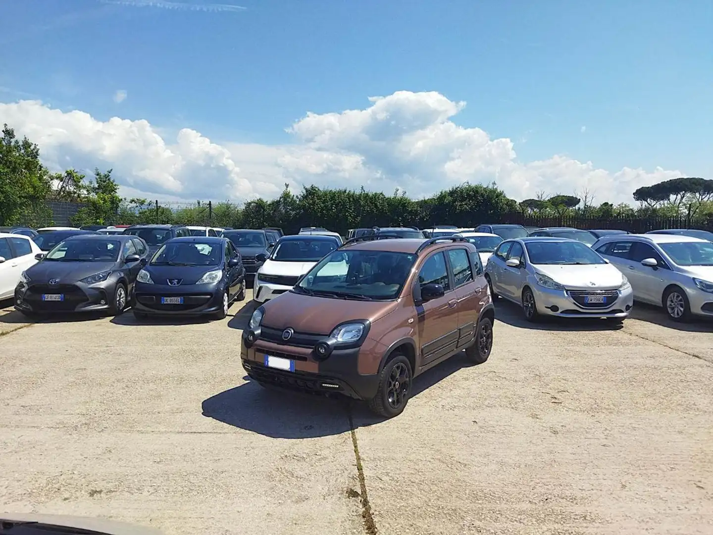 Fiat Panda 0.9cc 4X4 TRUSSARDI 85cv Bronze - 1