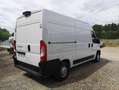 Fiat Ducato L2H2 2.0 MULTIJET 115 PACK PRO NAVIGATION - thumbnail 3