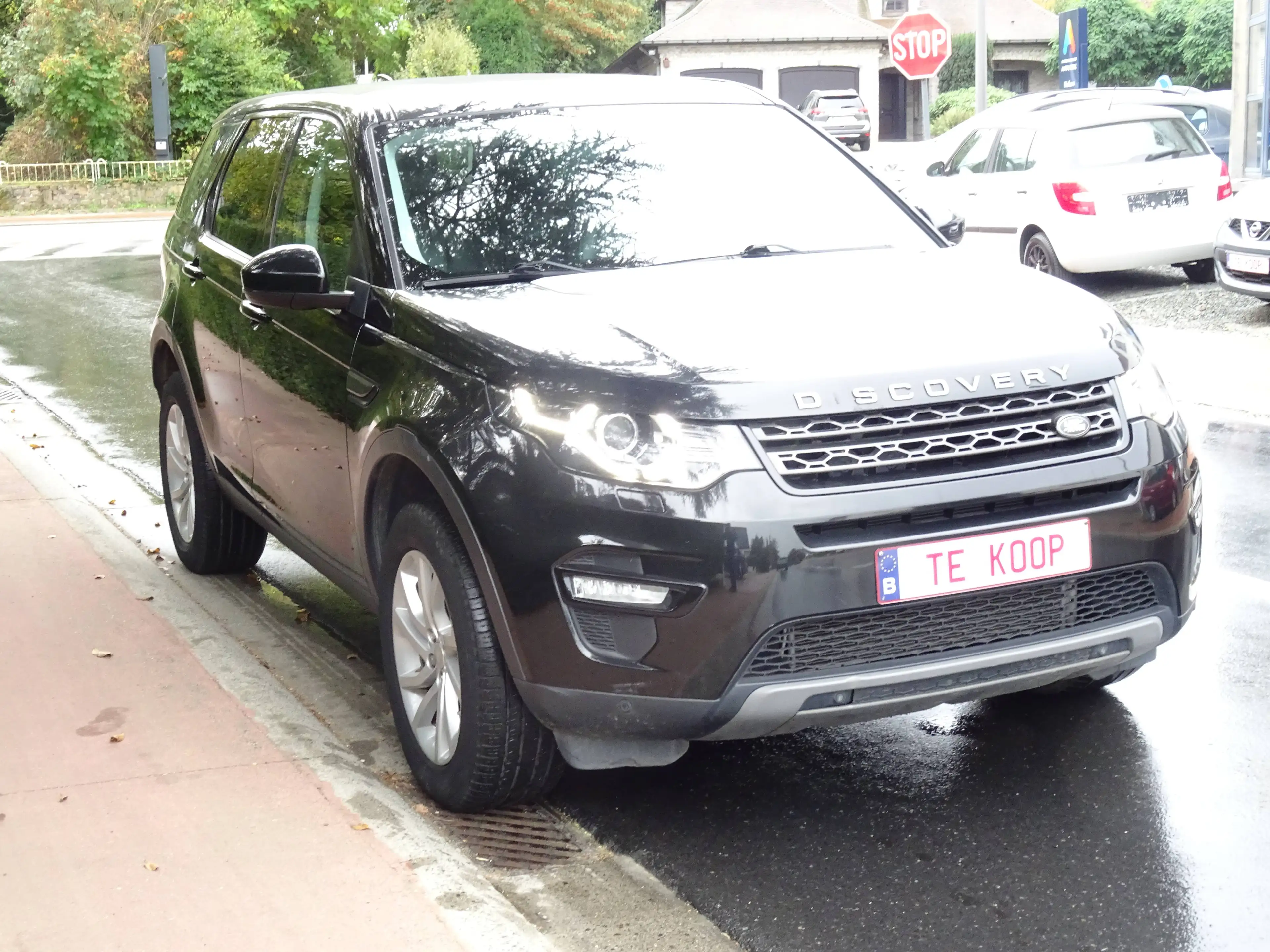 Land Rover Discovery Sport Discovery Sport 2.0 eD4 E-Capability Stellar SE — photo 3