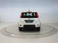 Fiat Panda 1.0 MHEV 70 5P Weiß - thumbnail 4