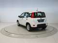 Fiat Panda 1.0 MHEV 70 5P Weiß - thumbnail 3