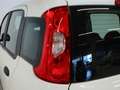 Fiat Panda 1.0 MHEV 70 5P Weiß - thumbnail 12