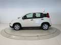 Fiat Panda 1.0 MHEV 70 5P Weiß - thumbnail 2