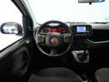 Fiat Panda 1.0 MHEV 70 5P Weiß - thumbnail 24