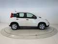 Fiat Panda 1.0 MHEV 70 5P Weiß - thumbnail 6