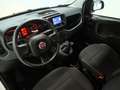 Fiat Panda 1.0 MHEV 70 5P Weiß - thumbnail 15