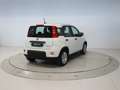 Fiat Panda 1.0 MHEV 70 5P Weiß - thumbnail 5