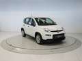 Fiat Panda 1.0 MHEV 70 5P Weiß - thumbnail 7