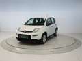 Fiat Panda 1.0 MHEV 70 5P Weiß - thumbnail 1