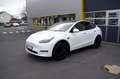 Tesla Model Y /SR+ EXTRAS: Enhanced Autopiot/AHK Blanc - thumbnail 1