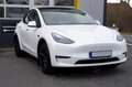 Tesla Model Y /SR+ EXTRAS: Enhanced Autopiot/AHK Blanc - thumbnail 3