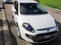 Fiat Punto Evo 5p 1.3 mjt Dynamic s&s 95cv Bianco - thumbnail 1