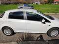 Fiat Punto Evo 5p 1.3 mjt Dynamic s&s 95cv Bianco - thumbnail 7