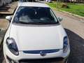 Fiat Punto Evo 5p 1.3 mjt Dynamic s&s 95cv Bianco - thumbnail 3
