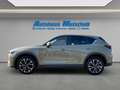Mazda CX-5 Advantage 2.5 e-SKYACTIV-G 194 HUD Navi 360 Kamera Beige - thumbnail 2